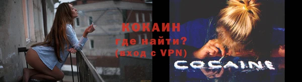 дмт Белокуриха